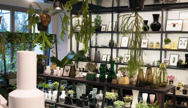 杭州|280花艺师的家,独门独栋别墅,院子种满了花花草草,让人羡慕!