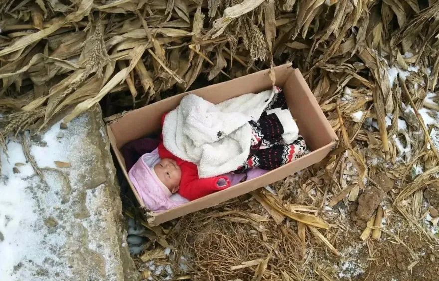 农民养父终身未娶,为供养女上大学,卖木棒槌赚学费