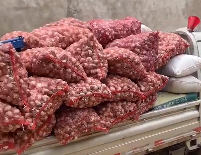 河南一小伙高温收蒜晒成黑炭,躺床上妻子心疼抚摸:他才20多岁!