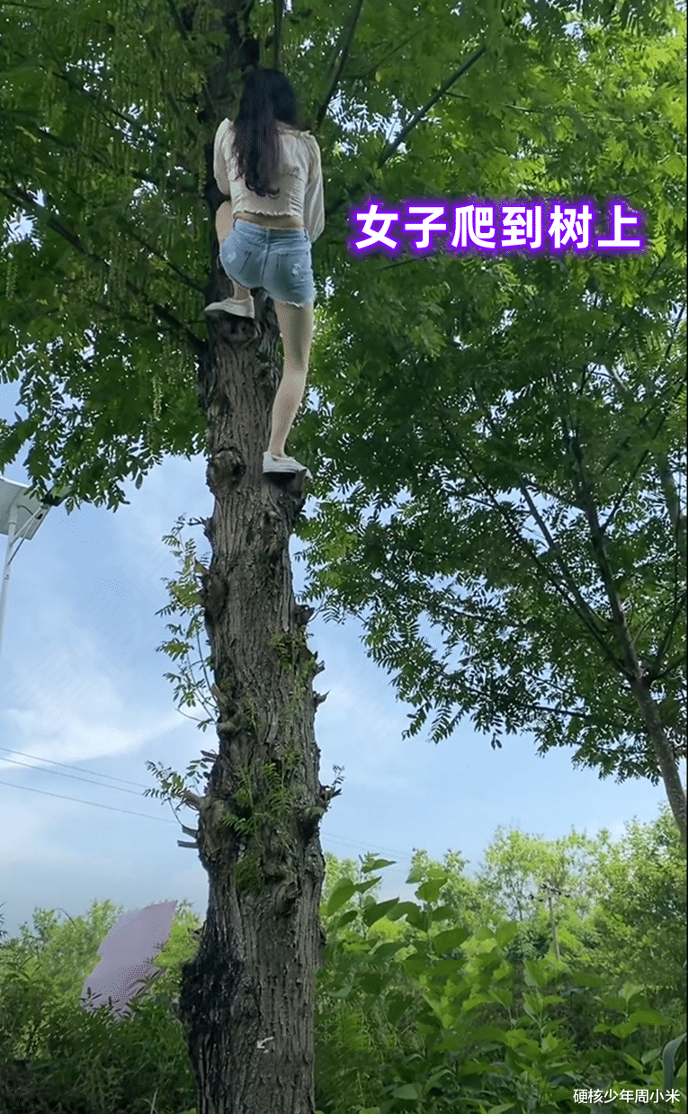 太拼了!四川一女子为了拍视频,徒手爬树,还敢摆pose拍照