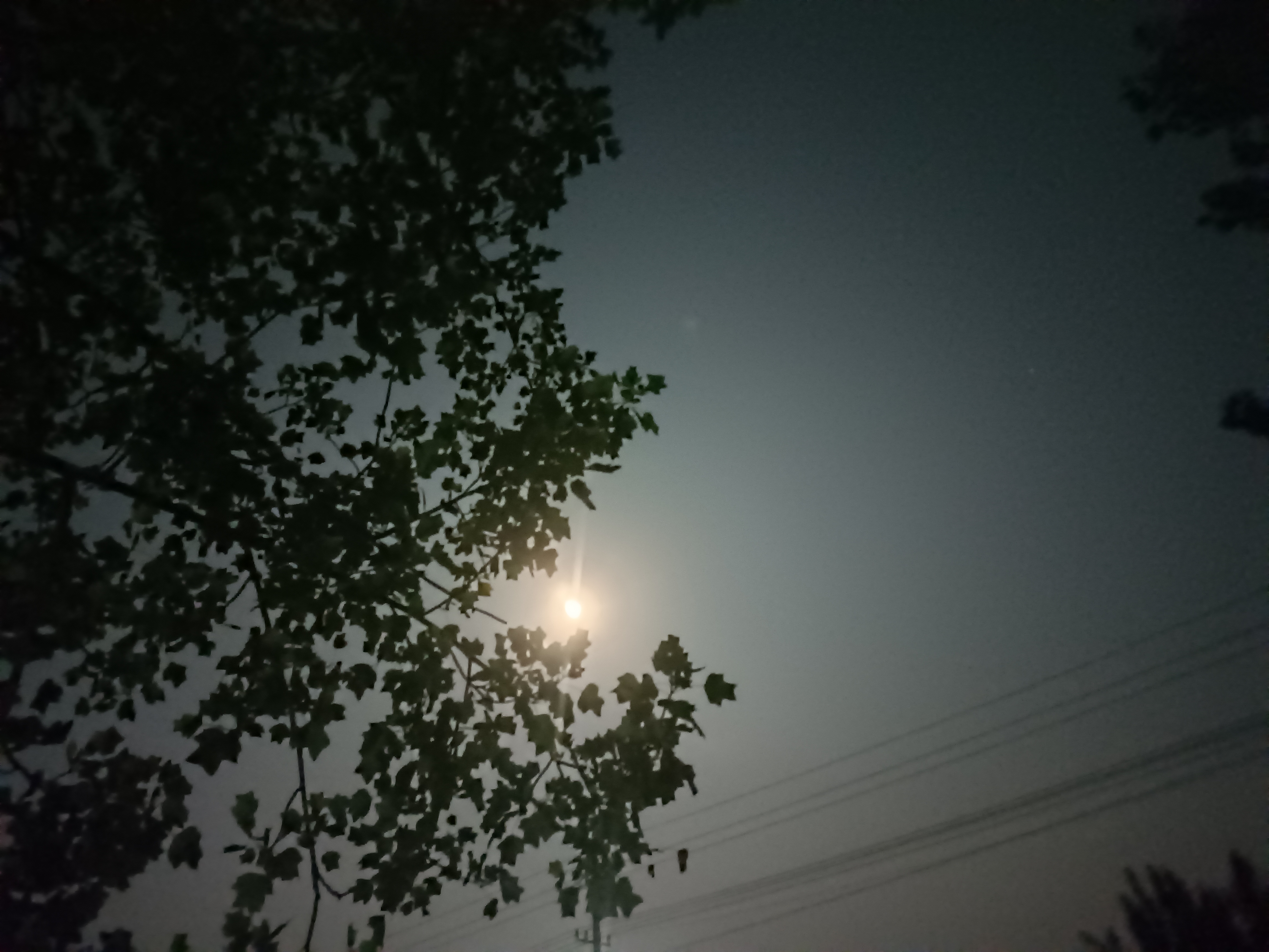 中秋夜赏月有所感