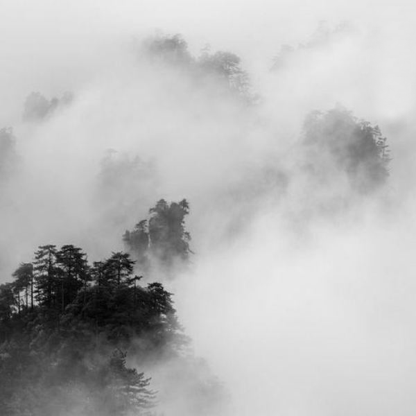 山林子自然社会人生随笔(69-70)谈关心人类命运 谈人类自由