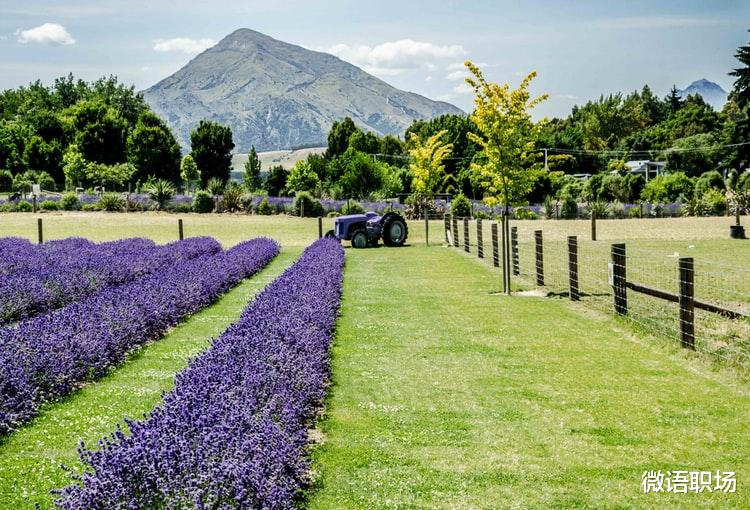 |如何让自己越来越值钱?请遵循6个重要的宇宙法则!