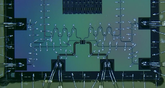 达摩院|阿里达摩院公布新型量子芯片