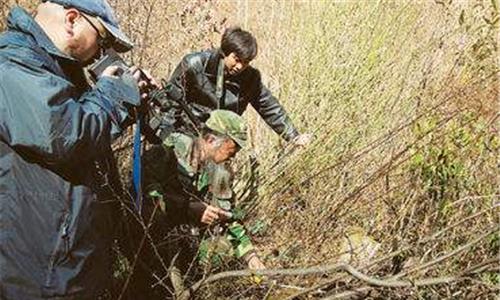 本该灭绝300万年的“驴头狼”，为何又再次出现，它在警告什么