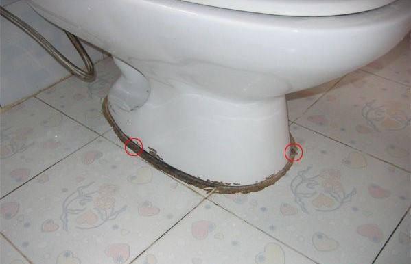 黄曲霉|藏在卫生间里的这东西,会产生“黄曲霉”!为了家人健康,早处理