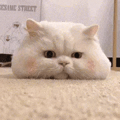 求职|校招路上通过率最低的【群面】,如何高效上岸?