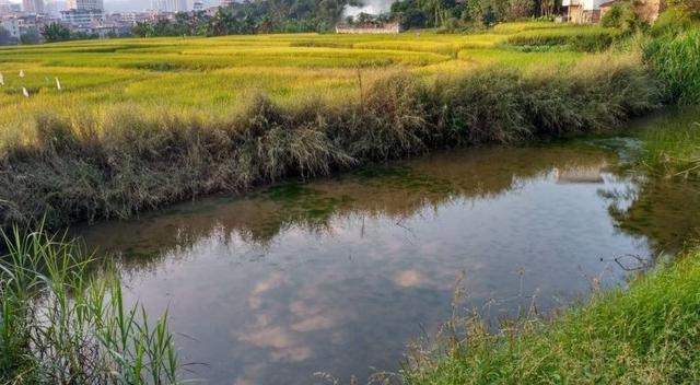 池塘积水能防旱防洪,勿毁池塘筑高墙,多蓄雨水护生态