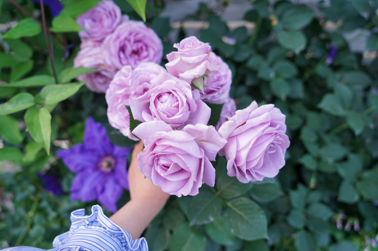 35㎡楼顶露台，亲手打造空中小花园，这才是顶楼的正确打开方式