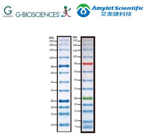 G-Biosciences PAGEmark? 蛋白质标记物方案