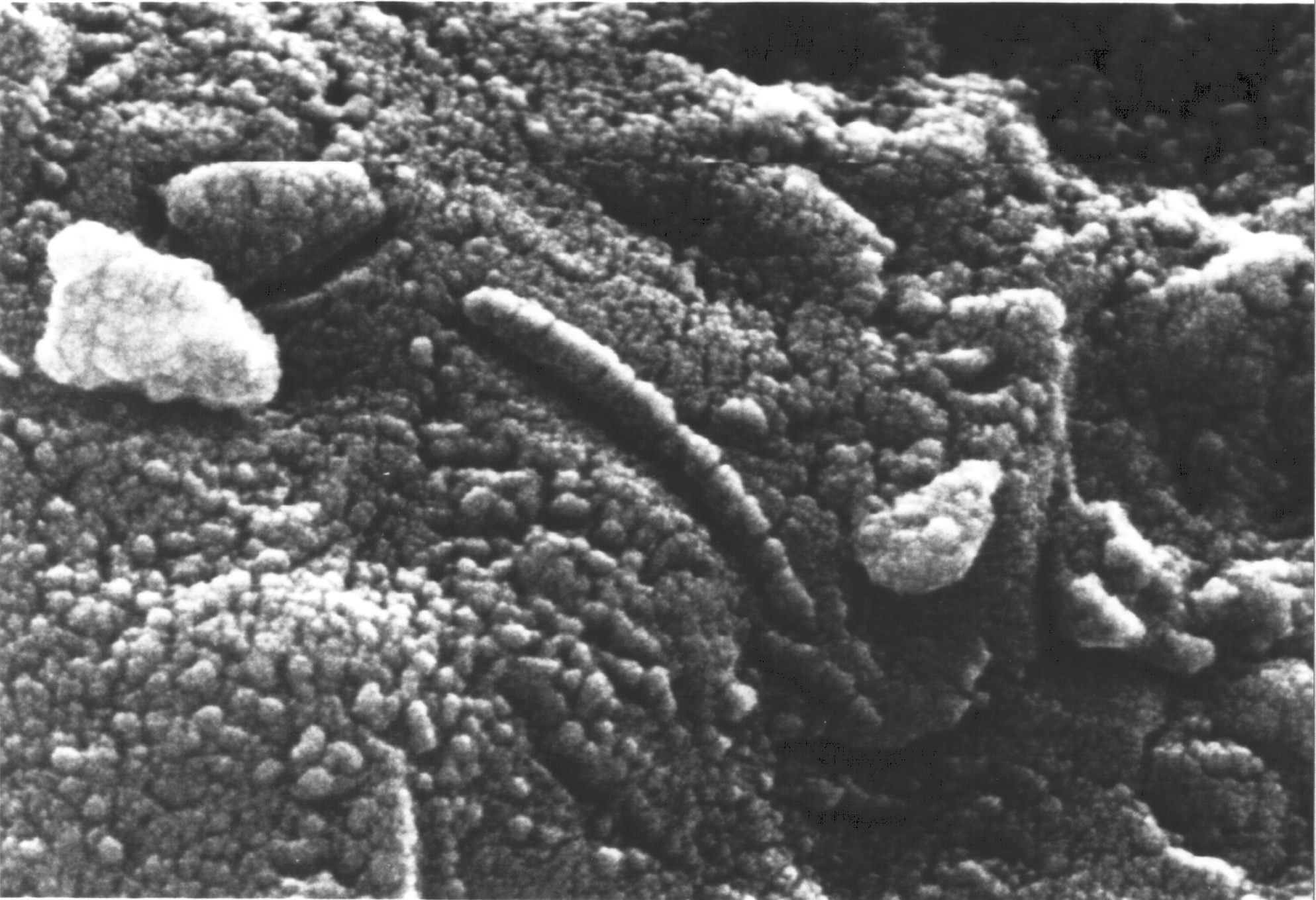火星上的人类遗留物已超7吨,或许会影响人类寻找火星古代生命?