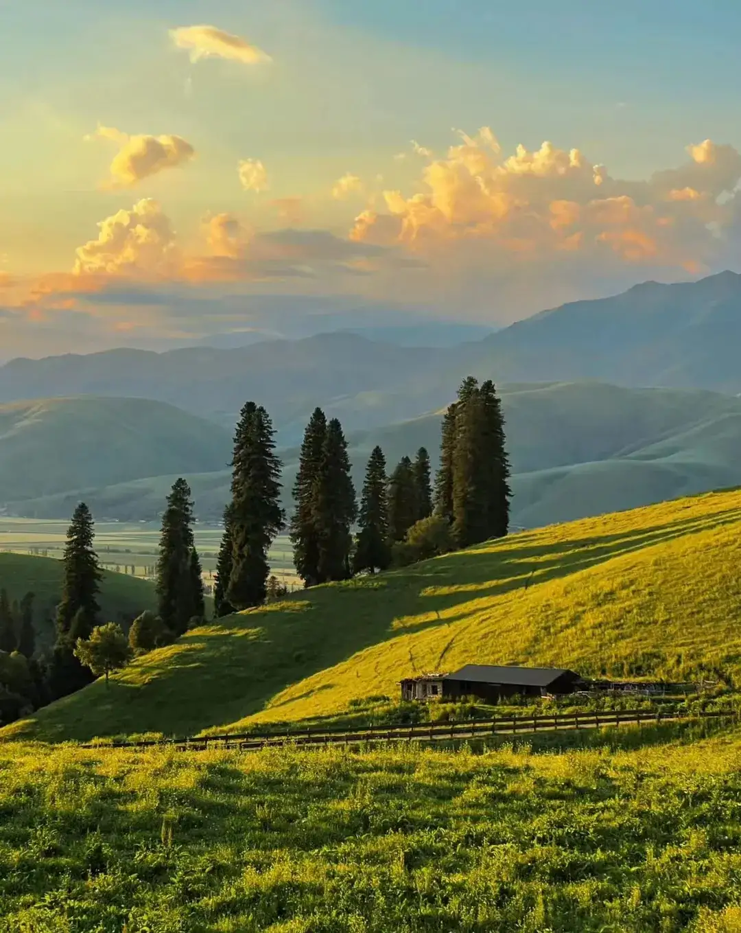 草原|一起享受大自然的美