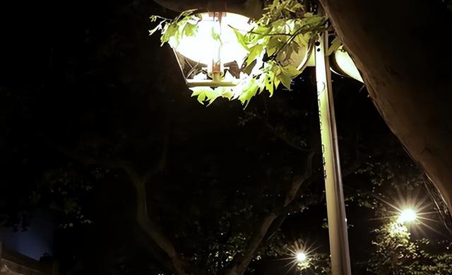 纪实:南京一女子家中幽会情人,丈夫藏在床下抓包,最终惨淡收场