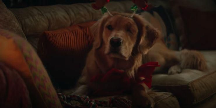 鹰眼|总结关于女鹰眼的10个细节，未来不仅是弓箭手，可能还是侦探