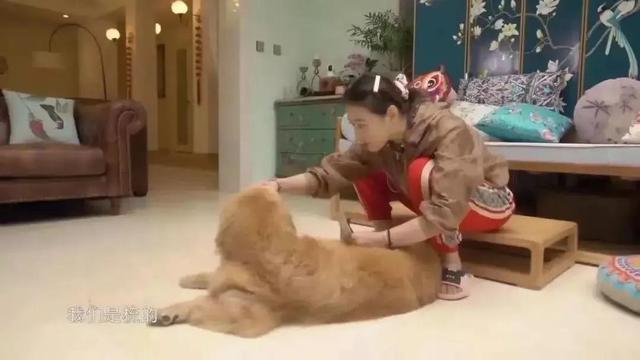 周海媚|周海媚:17 岁选港姐被淘汰,却成TVB当红花旦,还被编剧“写死”