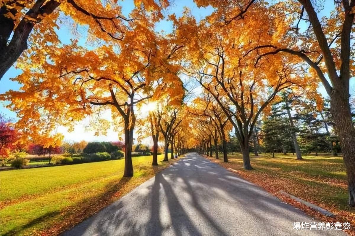 睡眠|老话说:秋天二不吃、三不睡,到底指的都是什么?原因是啥