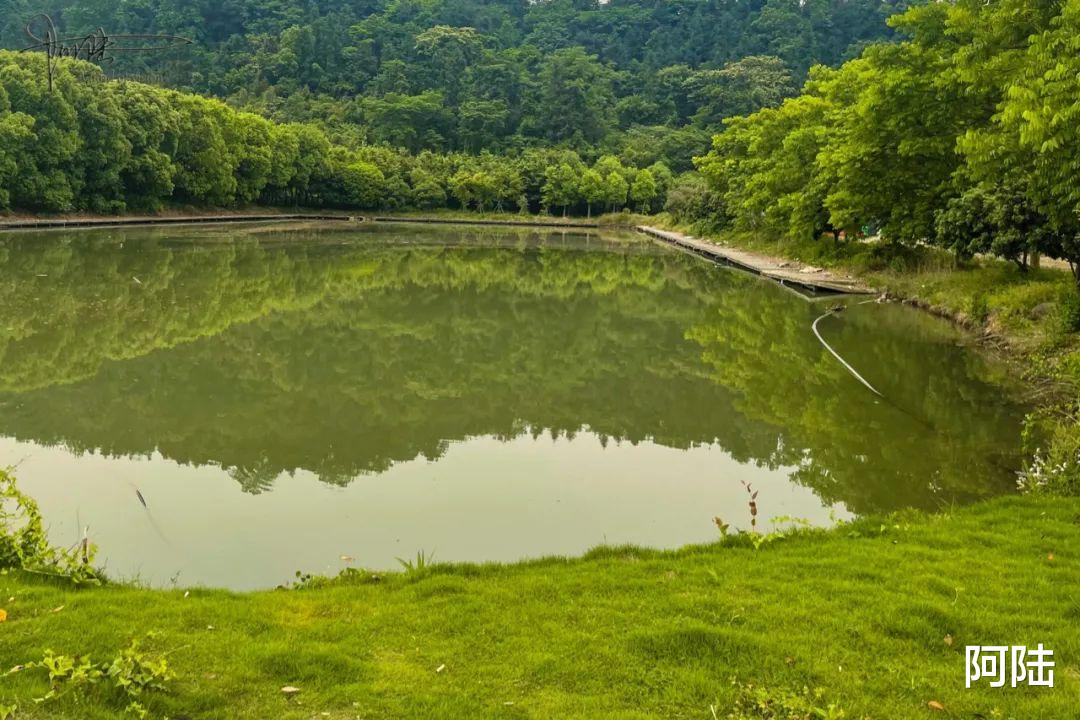 杭州|探秘杭州的“南天一柱”景点，没想到这里只剩下了鸡鸭和果园