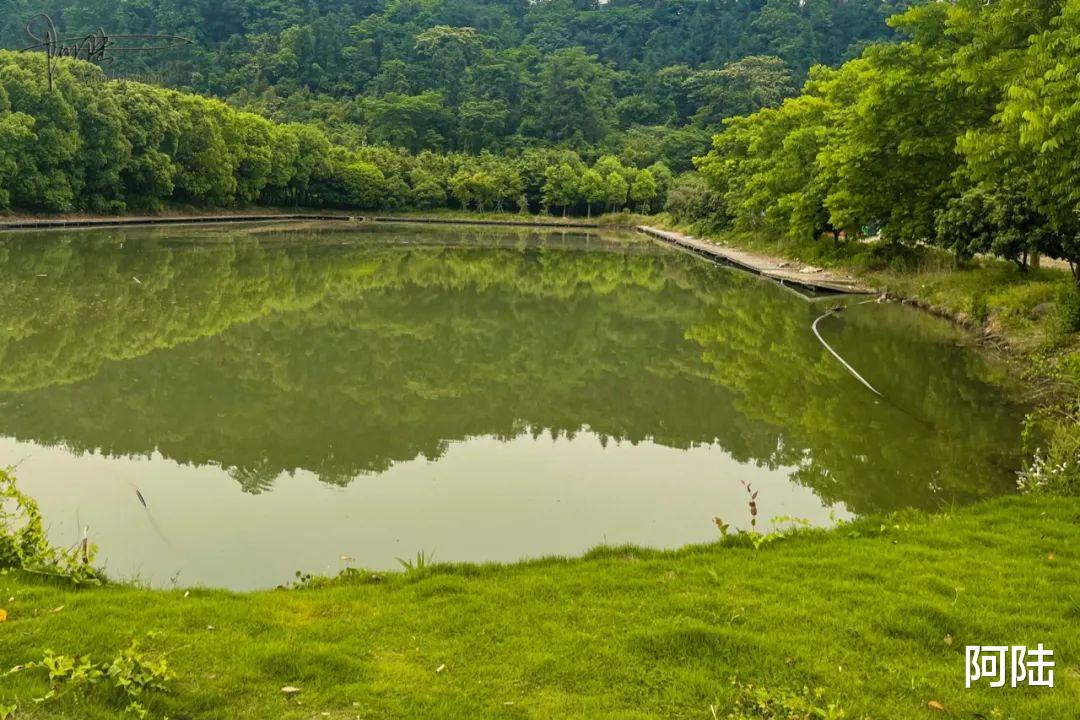 保山|探秘杭州的“南天一柱”景点，没想到这里只剩下了鸡鸭和果园