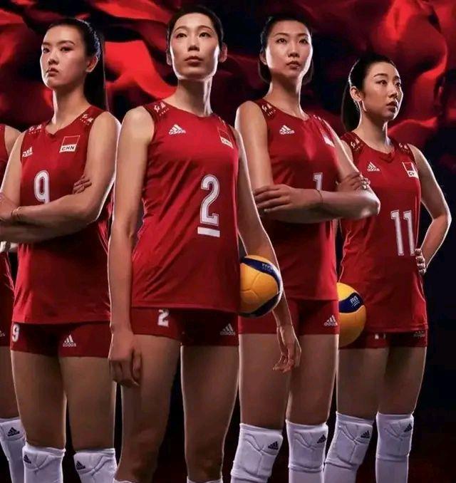 女排|中国女排组队的四个关注点
