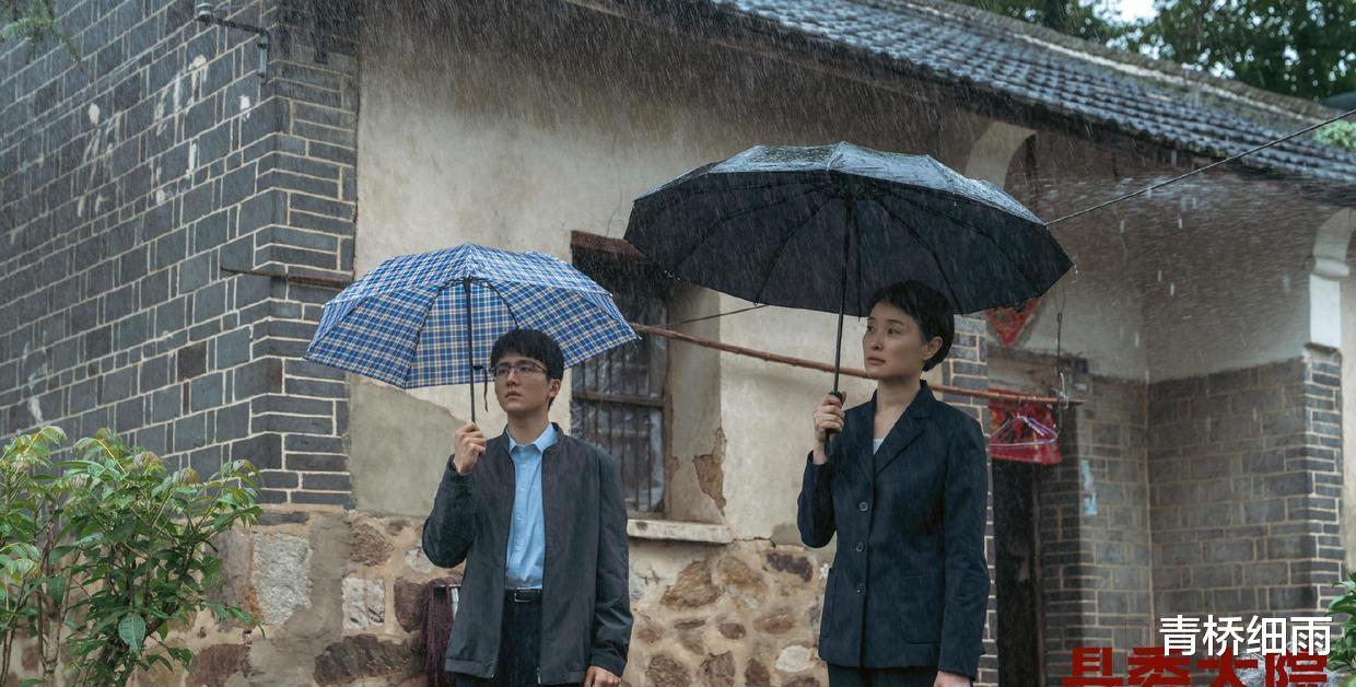 县委大院|《县委大院》：这三个女性，是剧中不可多得的亮点