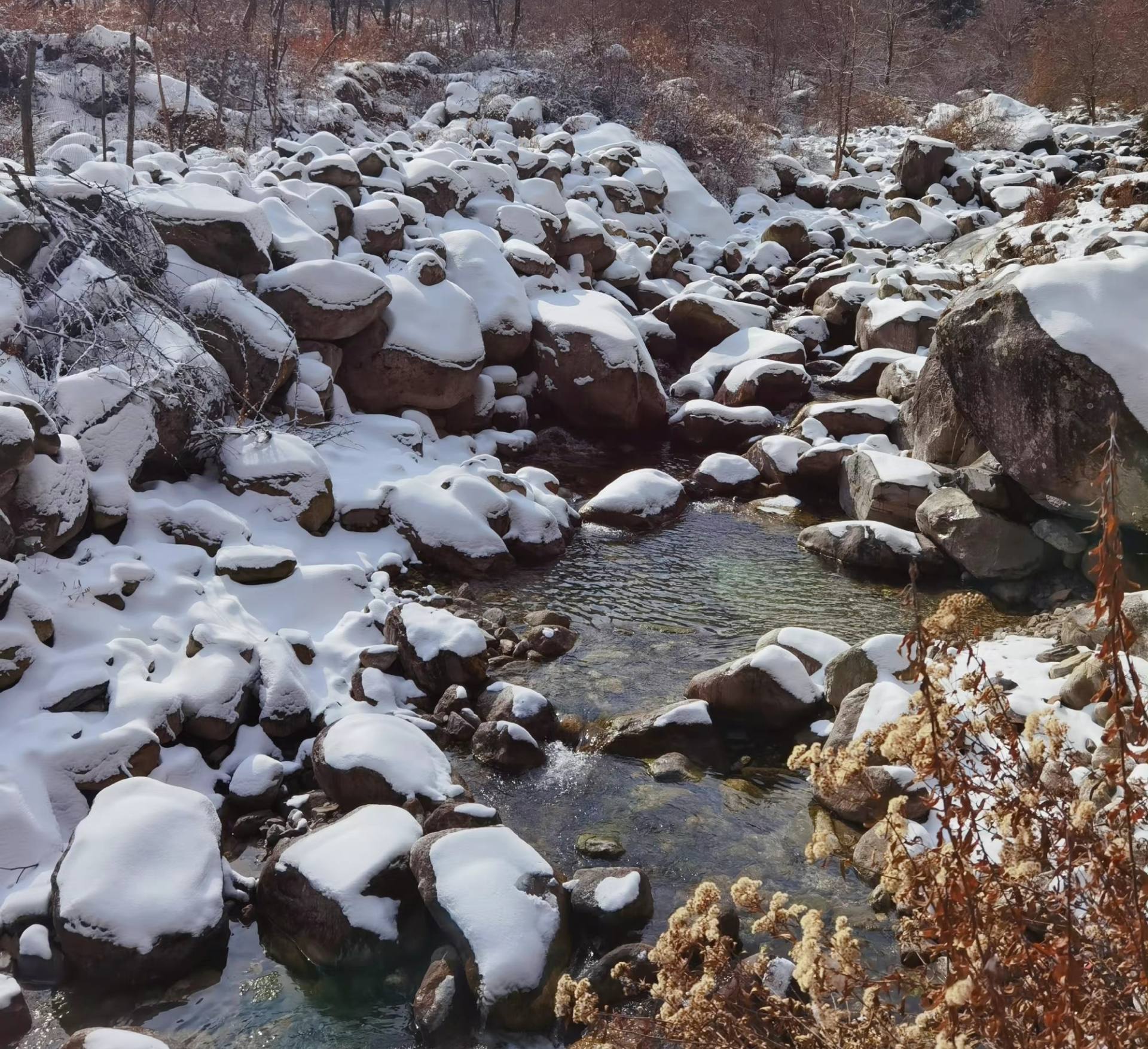 成都|成都3h徒步胜地：穿越原始森林雪场，偶遇美味铁板烧烤