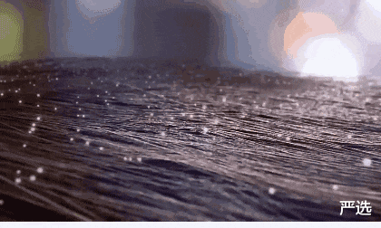 洗发水|三种早已进入“黑名单”的洗发水,价钱贵还掉发,很多人都用过