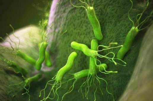 运动|慢性胃炎总不好，可能与这3个因素有关，怎样养胃或许是关键