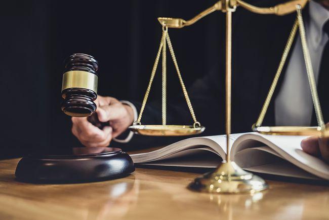 流浪狗咬伤人长期喂养男子被判赔款,法院:已经形成事实饲养关系