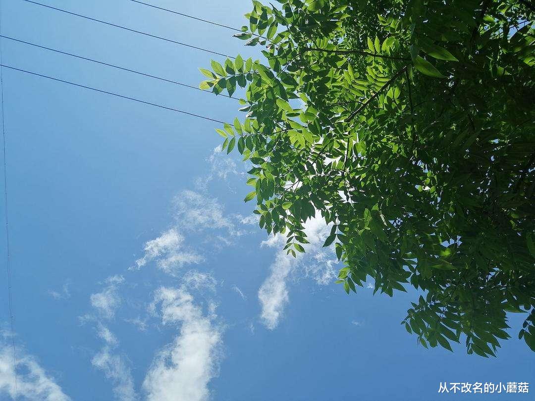 男子举债打赏女主播,面对自己的妻儿,他为何无动于衷?