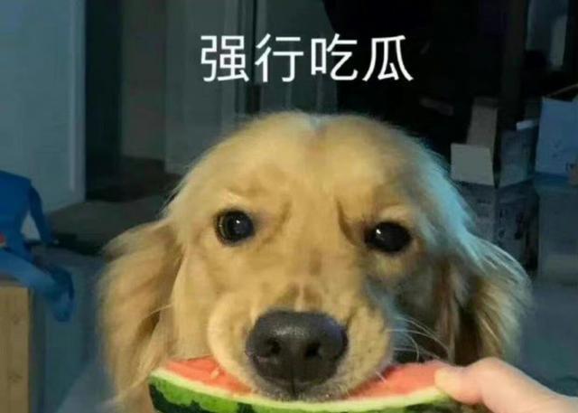 吴磊|瓜田炸了!狗仔爆料王姓男星夜会两美女,吴磊赵露思陈乔恩有绯闻