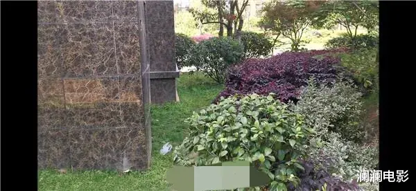 痛心 ！长沙37岁女博士带着5个月女儿跳楼，母女二人当场身亡！