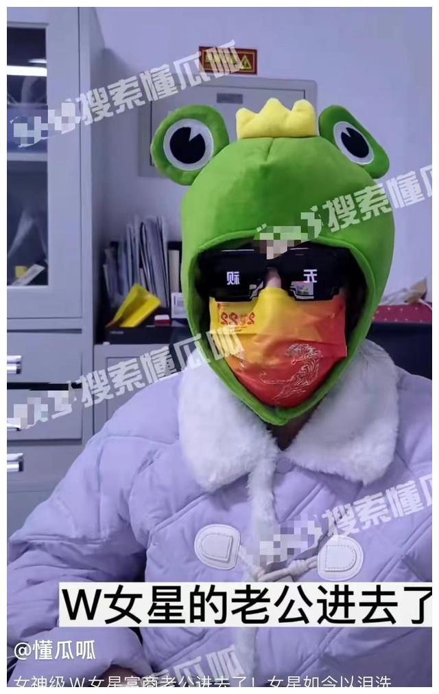 王丽坤|曝王丽坤老公疑似被抓,高调为女方买豪车豪宅,涉及赃款或被追缴