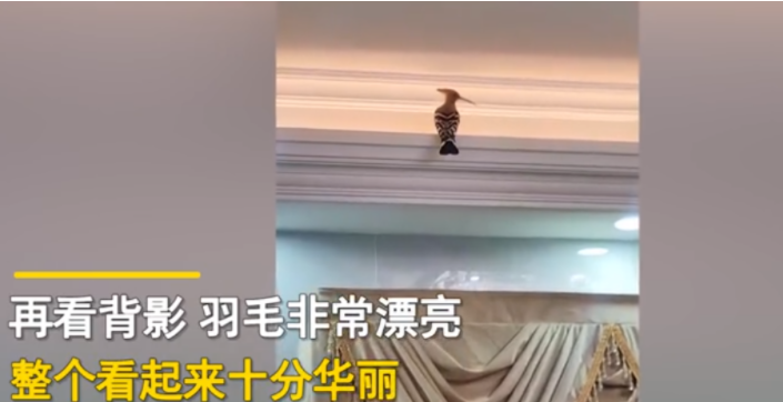 广东惠州,一男子晚饭后出去散步,等他回到家,就发现不对劲