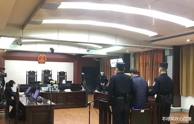 案例:妻子出轨同村男子后,丈夫将男子杀害,被判无期徒刑