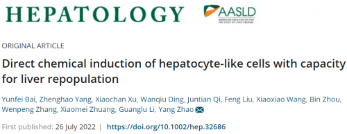Hepatology | 北京大学赵扬团队将成纤维细胞通过化学诱导为功能性肝细胞样细胞