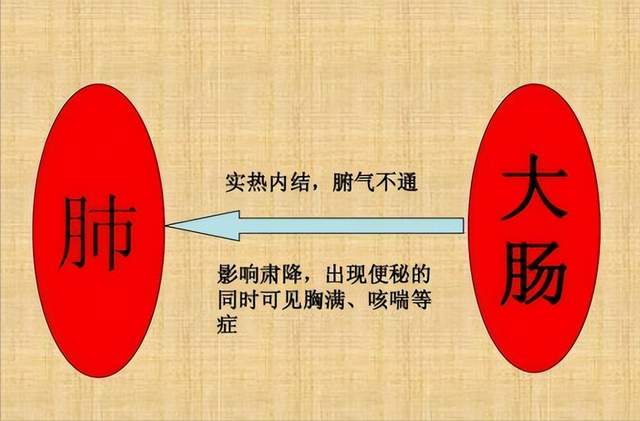 黄帝内经|便秘问题不可忽视,中医建议:赶紧去调肺!分享四种有效小办法