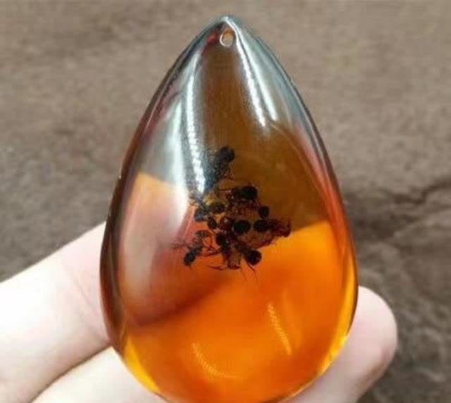 琥珀里的昆虫能万年不腐,古人为何不用琥珀,来保存尸体呢?