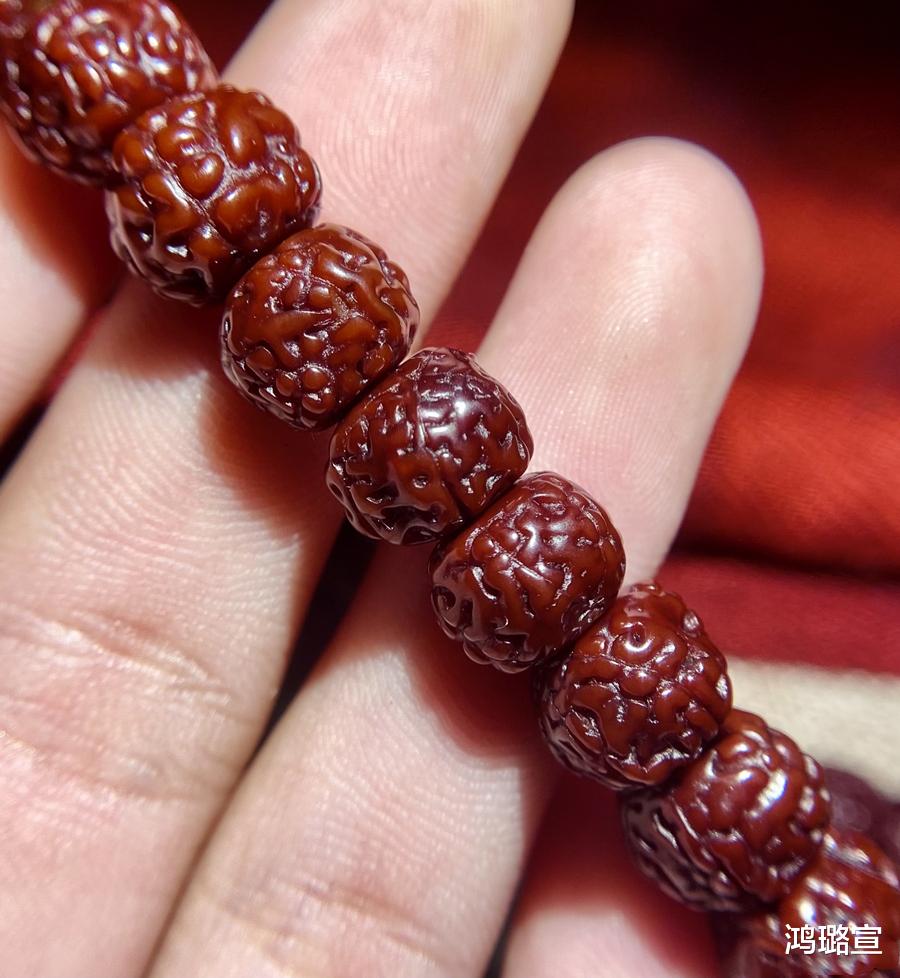 金刚菩提|金刚菩提是如今的局面到底是卷？还是另有原因？