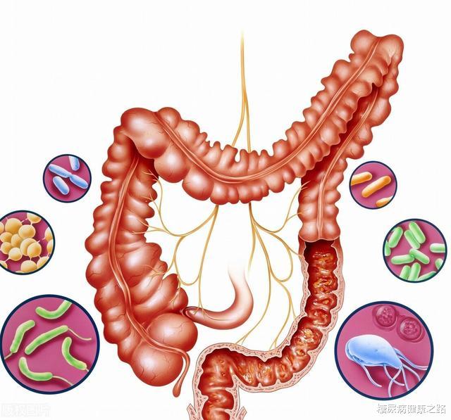 豌豆|血糖控制不住怎么办?可以试试超级豌豆!抗性淀粉有益血糖健康