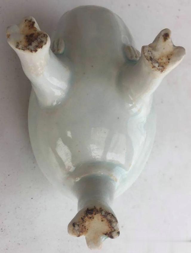 蜘蛛|贾宝国一真一假说瓷器(X130-仿湖田窑蟾盂)