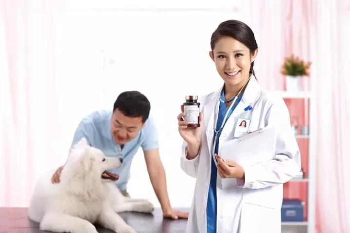 宠物狗被咬伤怎么办 小狗被大狗咬伤怎么办