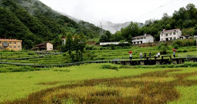 佛坪县:县城实际生活人口8000多人,却有将近2000人在吃财政饭?