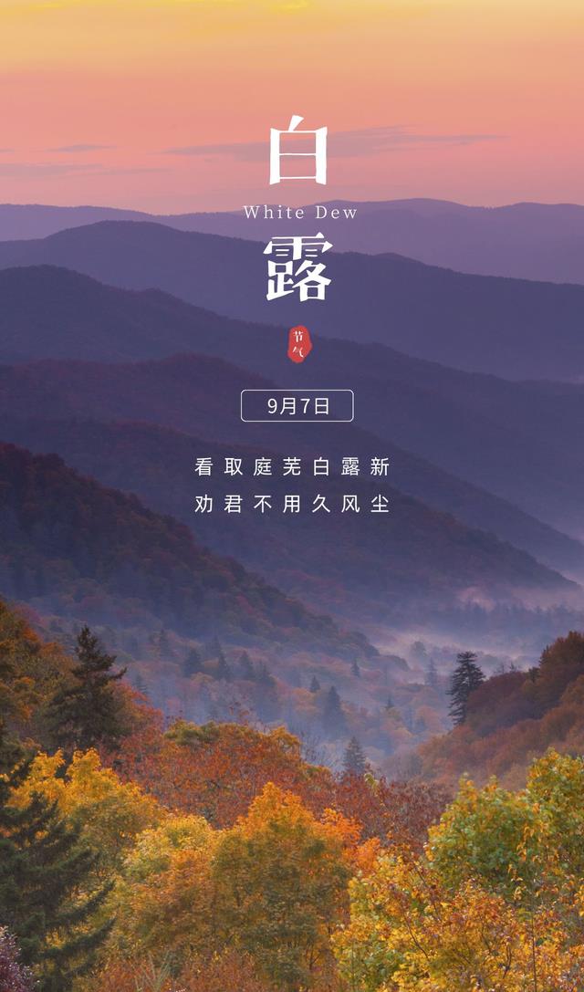 白露图片配图唯美高清带字大全,白露朋友圈问候语文案句子