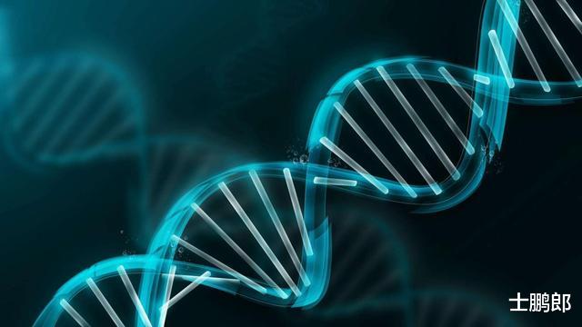 人究竟可以活多久?科学家:其实在出生之时一切就注定了