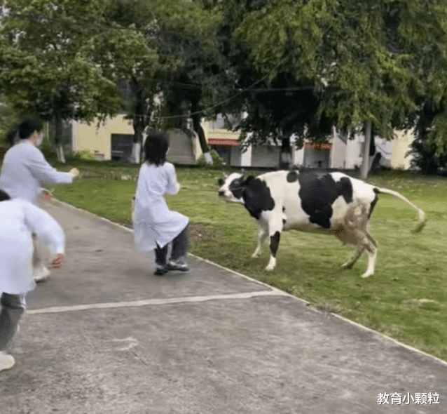 职业教育|好好读书也要挖地,云南农业大学表示,你们给我来办公室一趟