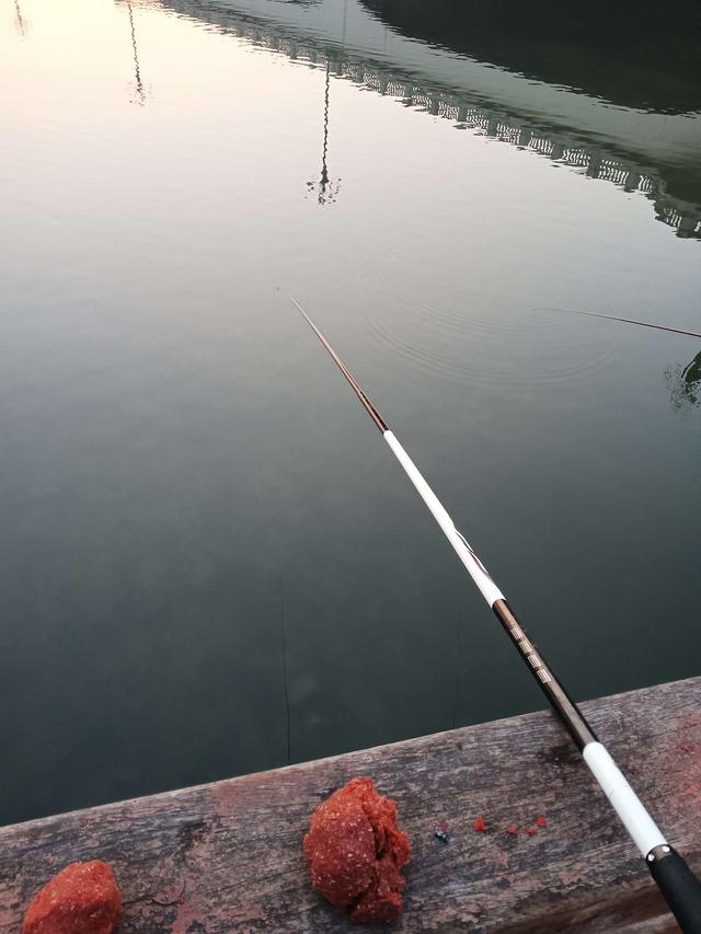 寒潮|寒潮来袭，鲫汤暖心，钓鱼人依然在路上
