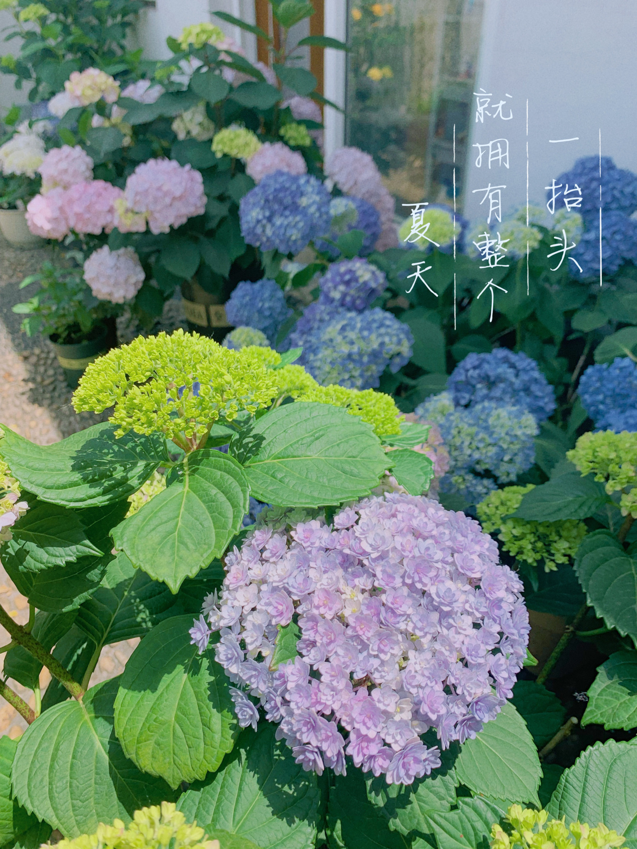 老宅改造：自己DIY打造花园攻略，快把闲置空间利用起来，太美啦