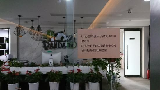 王思聪|“香蕉”黄了 “熊猫”凉了，王思聪该回家上班了