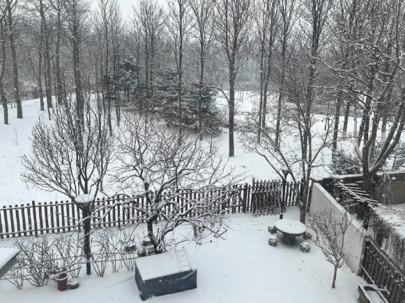 高晓松|高晓松前妻夕又米官宣喜讯，二婚老公年轻帅气，大别墅像森林城堡