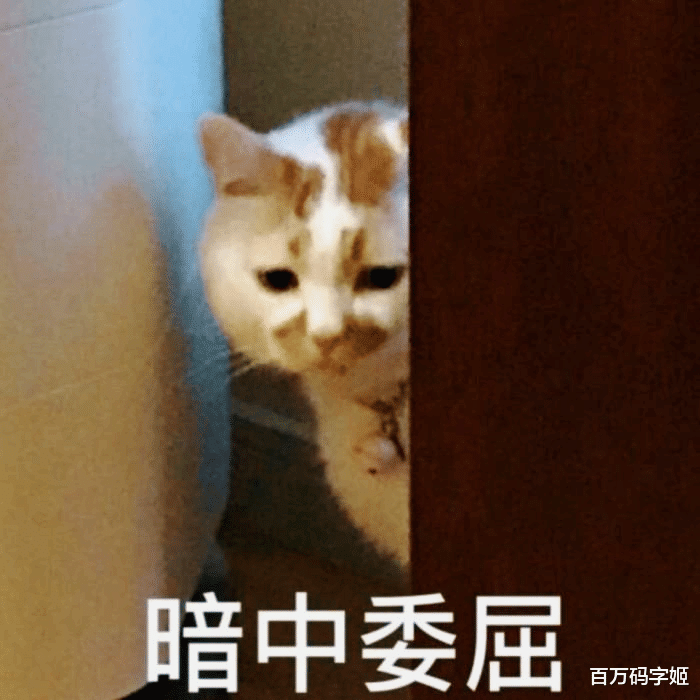 脉脉|2022高校毕业生超千万？九五后：“别急，2020年毕业的还在家躺着呢”